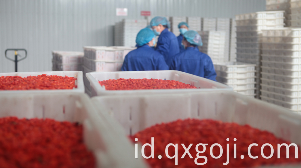 100% Organic Goji Berry Juice